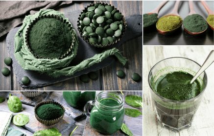 Chlorella – sladkovodna alga in njeni učinki na zdravje